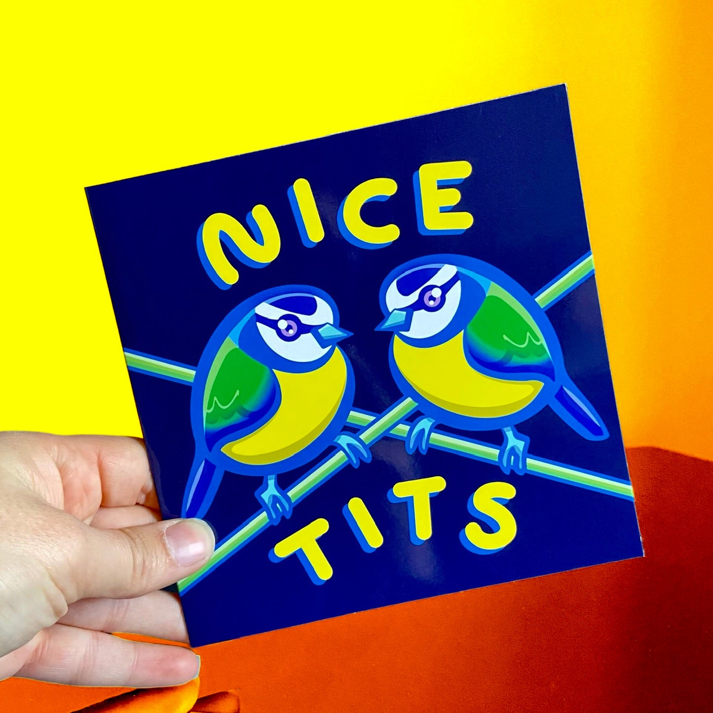 Blue Tit Greetings Card - British Garden Birds - Bird Humour - Rude Puns - Cheeky Greetings Cards